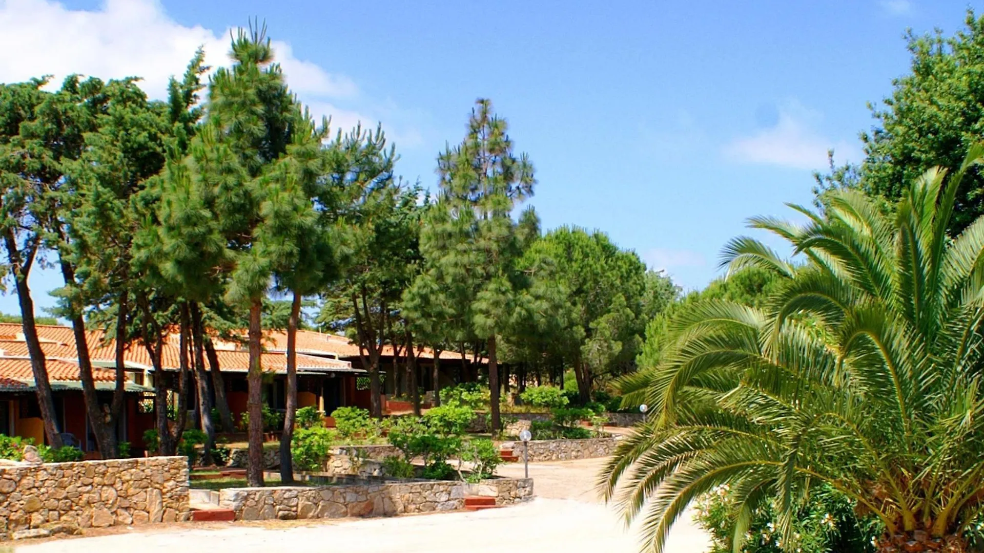 Residence Blue Corner Porto Pollo Palau Apartahotel